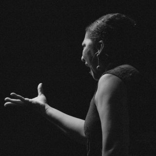 Elena Andújar copia