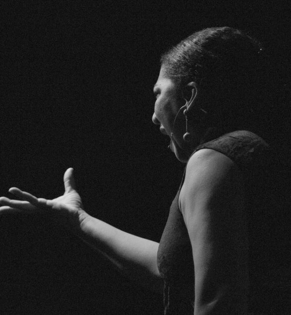 Elena Andújar copia